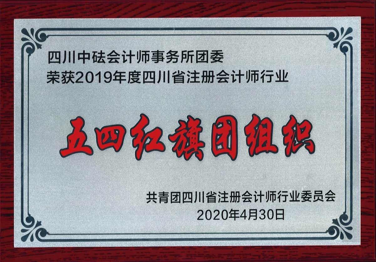 2019年度四川省注册会计师行业“五四红旗团组织”