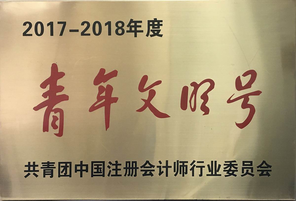 2017-2018年度全国注册会计师行业“青年文明号”