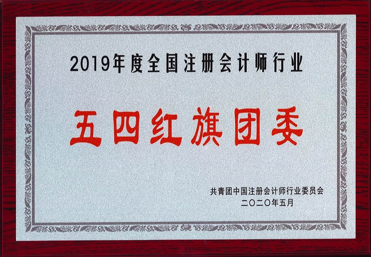 2019年度全国注册会计师行业“五四红旗团委”