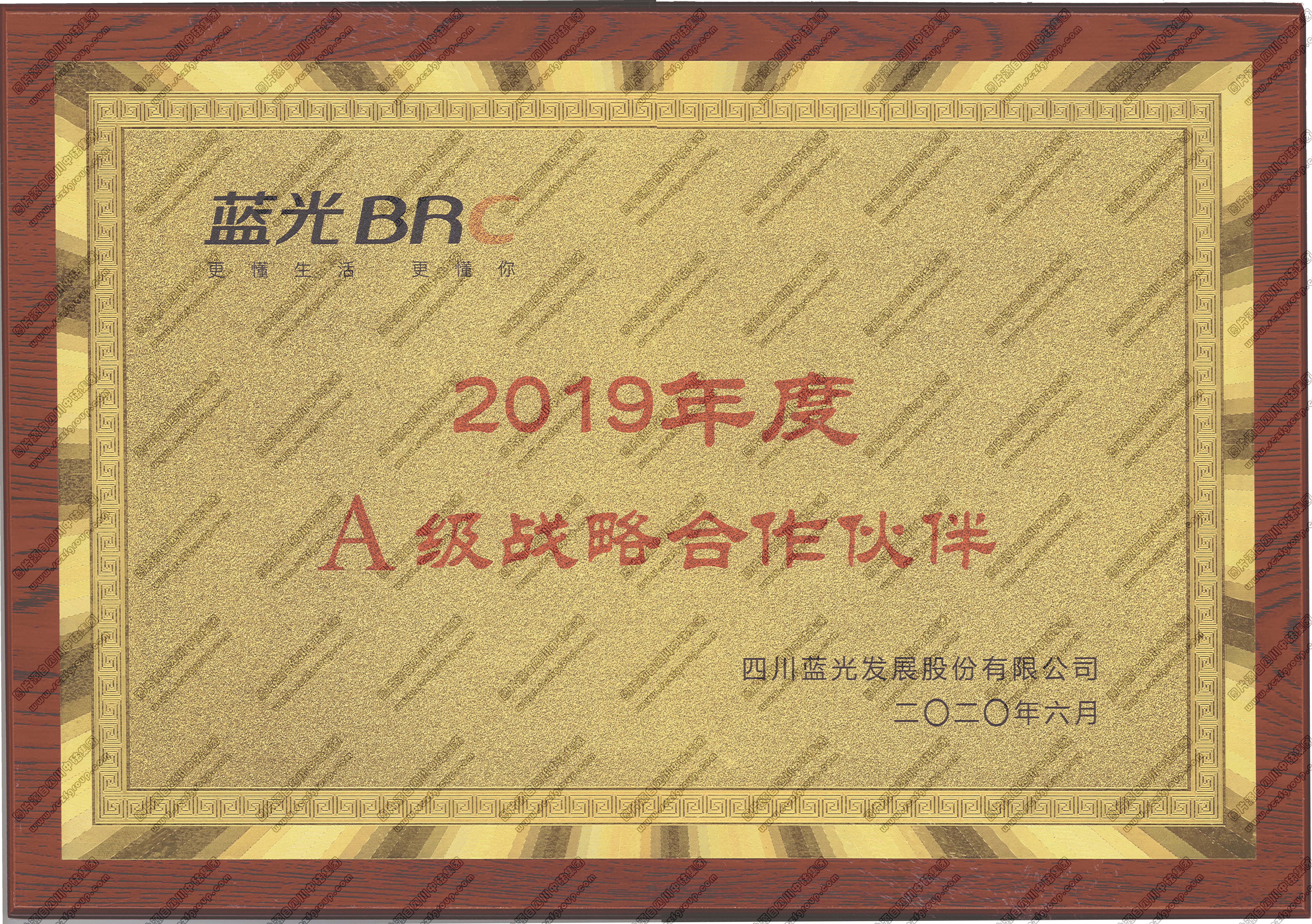 奖牌：蓝光BRC 2019年度A级战略合作伙伴