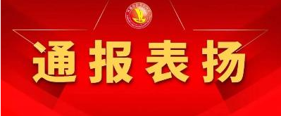 崇州项目表彰