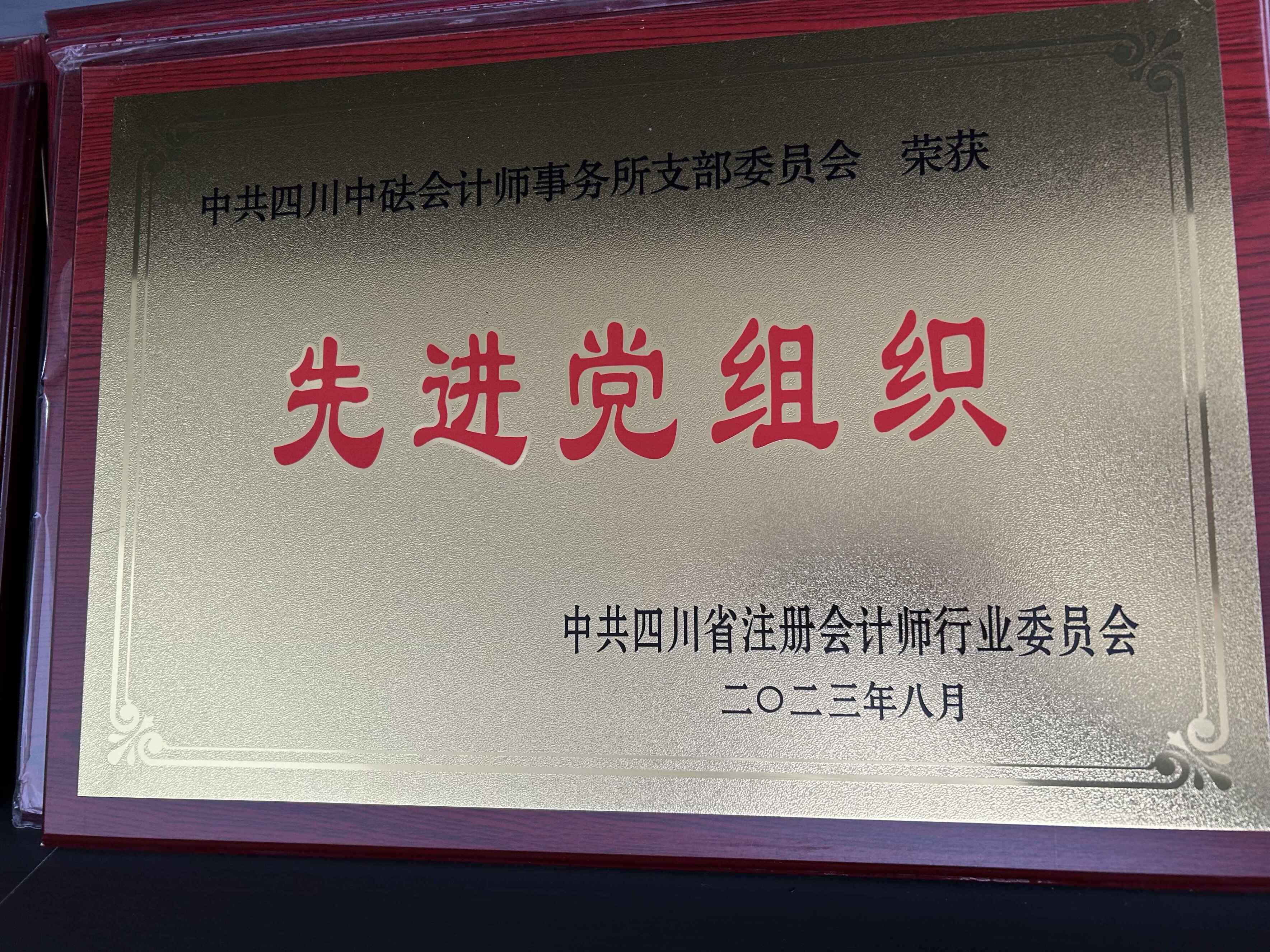 2023年先进党组织—中共四川省注册会计师行业委员会