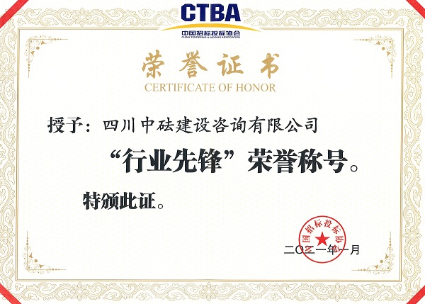 中国招标投标协会-“行业先锋”荣誉称号.jpg