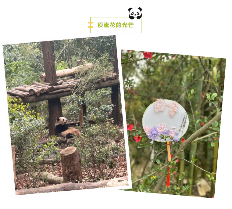 人力成果截图.png